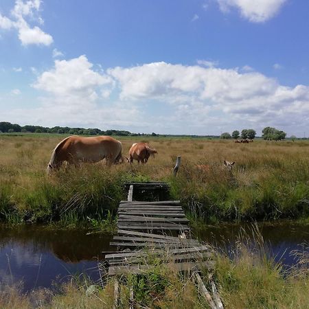 Dom Goscinny Ptaszarnia - Natura-Free Parking Świnoujście Extérieur photo