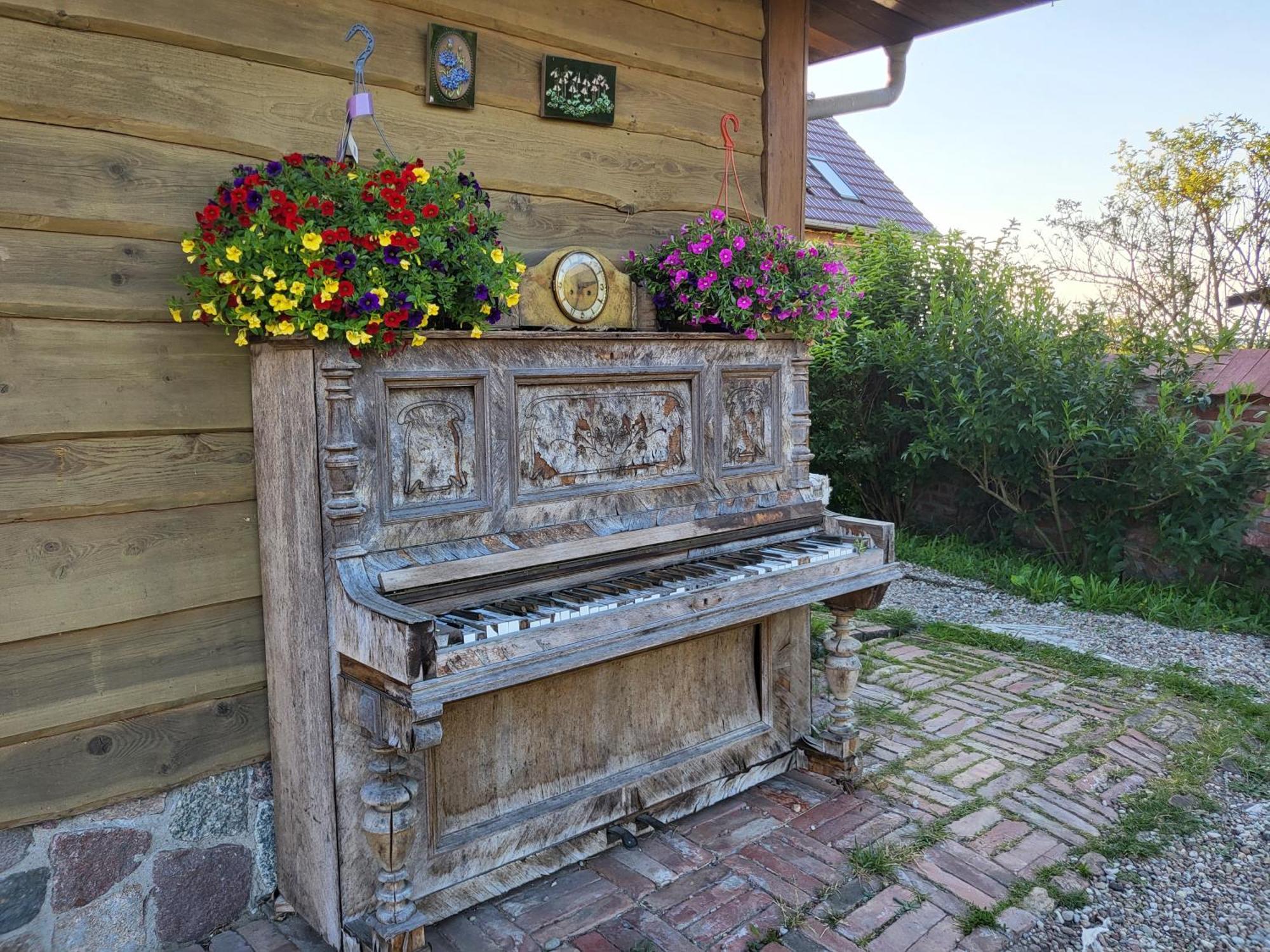 Dom Goscinny Ptaszarnia - Natura-Free Parking Świnoujście Extérieur photo