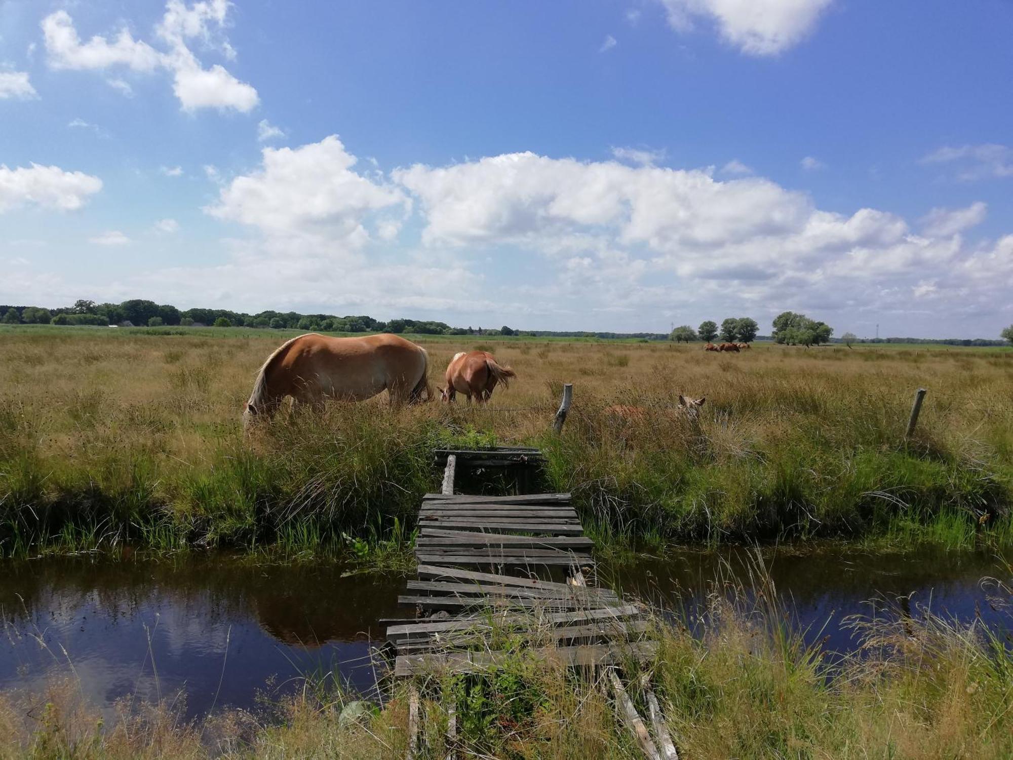 Dom Goscinny Ptaszarnia - Natura-Free Parking Świnoujście Extérieur photo